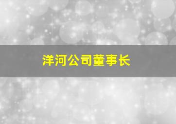 洋河公司董事长