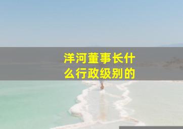 洋河董事长什么行政级别的