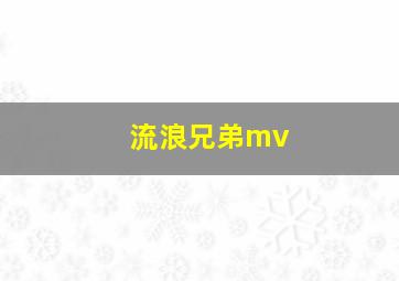 流浪兄弟mv