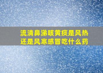 流清鼻涕咳黄痰是风热还是风寒感冒吃什么药