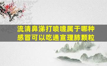 流清鼻涕打喷嚏属于哪种感冒可以吃通宣理肺颗粒