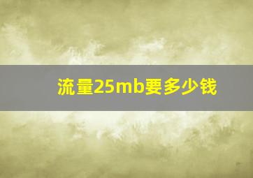 流量25mb要多少钱