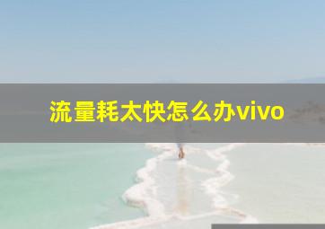 流量耗太快怎么办vivo