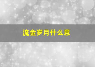 流金岁月什么意