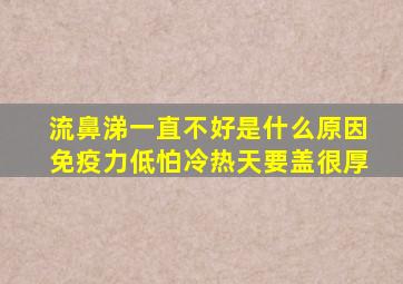 流鼻涕一直不好是什么原因免疫力低怕冷热天要盖很厚