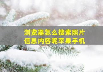 浏览器怎么搜索照片信息内容呢苹果手机