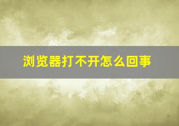 浏览器打不开怎么回事