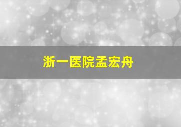 浙一医院孟宏舟