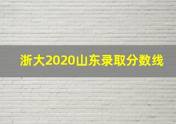 浙大2020山东录取分数线