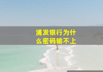 浦发银行为什么密码输不上