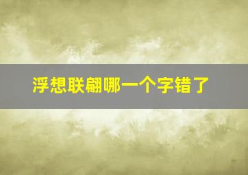 浮想联翩哪一个字错了