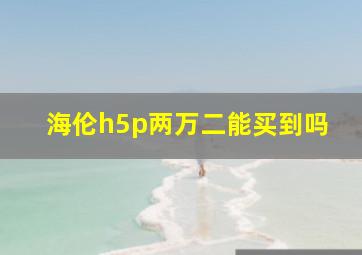 海伦h5p两万二能买到吗