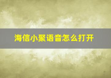 海信小聚语音怎么打开