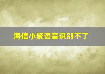 海信小聚语音识别不了