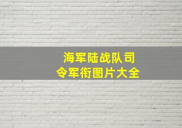 海军陆战队司令军衔图片大全