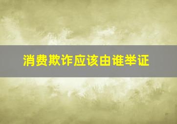 消费欺诈应该由谁举证