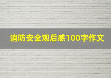 消防安全观后感100字作文