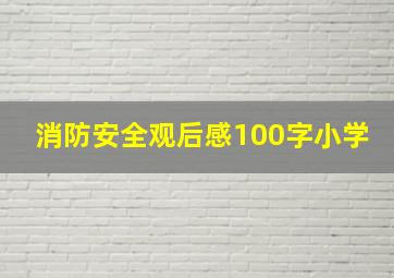 消防安全观后感100字小学