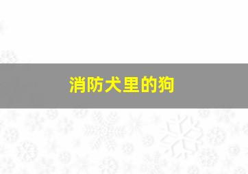 消防犬里的狗