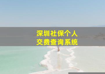 深圳社保个人交费查询系统