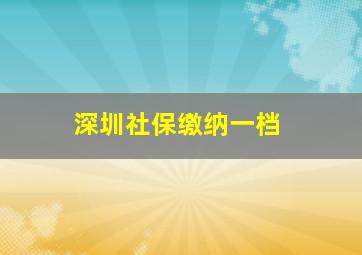 深圳社保缴纳一档