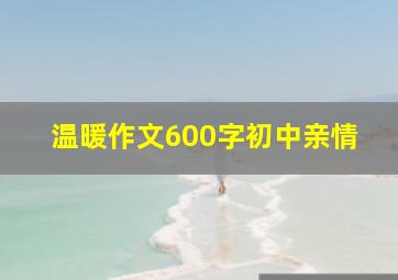 温暖作文600字初中亲情