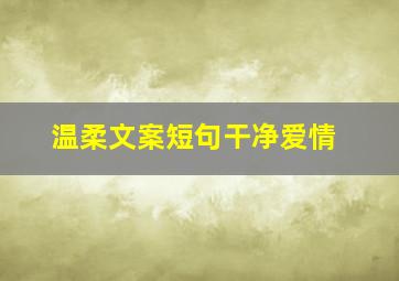 温柔文案短句干净爱情