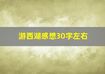 游西湖感想30字左右