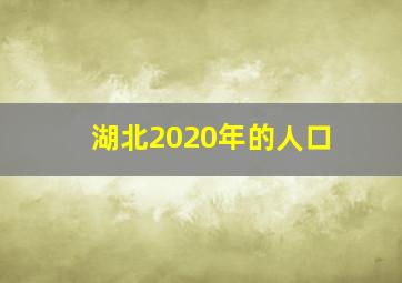 湖北2020年的人口