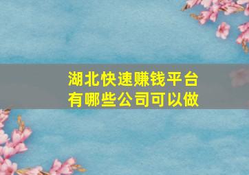 湖北快速赚钱平台有哪些公司可以做