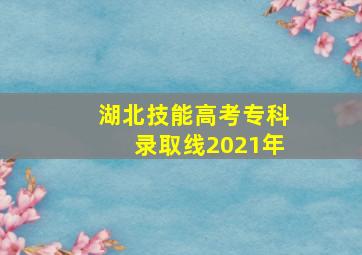 湖北技能高考专科录取线2021年