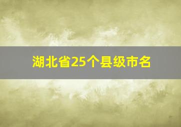 湖北省25个县级市名