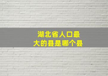 湖北省人口最大的县是哪个县