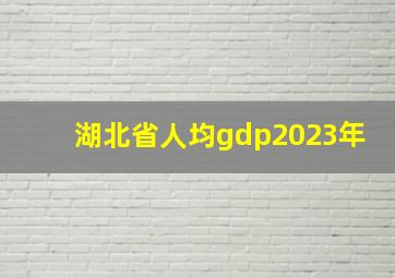 湖北省人均gdp2023年