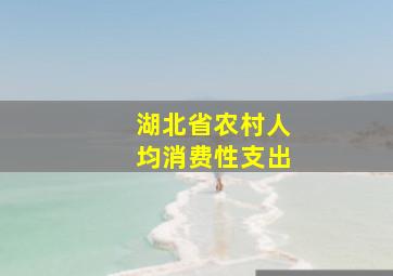 湖北省农村人均消费性支出