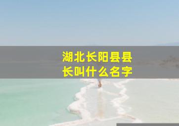 湖北长阳县县长叫什么名字