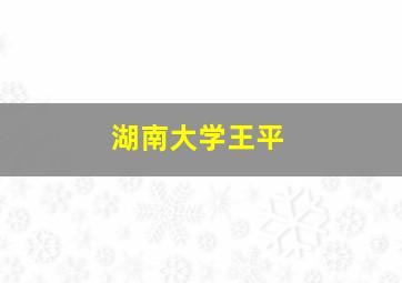 湖南大学王平