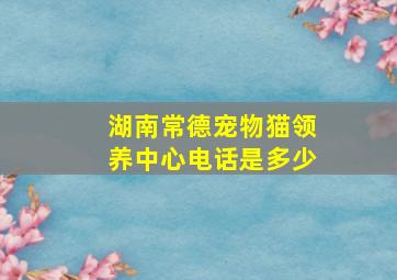 湖南常德宠物猫领养中心电话是多少