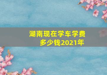 湖南现在学车学费多少钱2021年