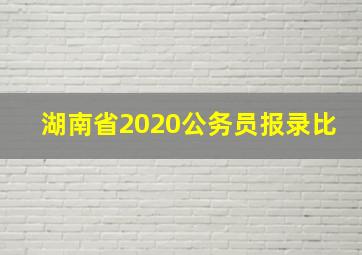 湖南省2020公务员报录比