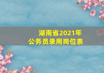 湖南省2021年公务员录用岗位表