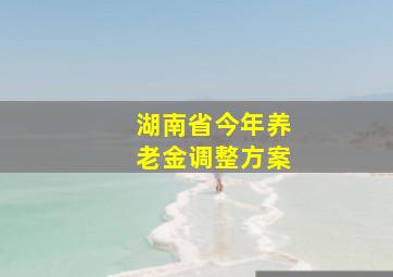 湖南省今年养老金调整方案