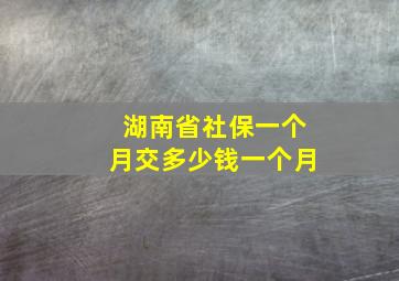 湖南省社保一个月交多少钱一个月