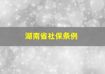 湖南省社保条例