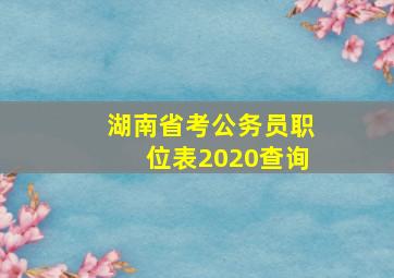 湖南省考公务员职位表2020查询