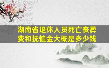 湖南省退休人员死亡丧葬费和抚恤金大概是多少钱