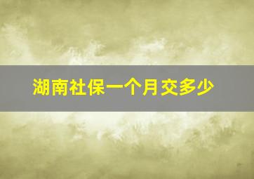 湖南社保一个月交多少