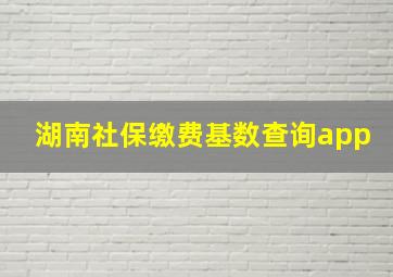 湖南社保缴费基数查询app