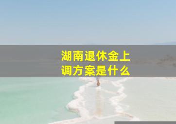 湖南退休金上调方案是什么