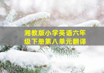 湘教版小学英语六年级下册第八单元翻译